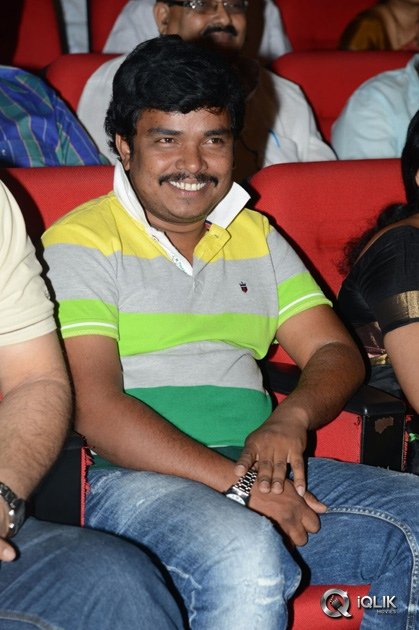 Vinavayya-Ramayya-Movie-Audio-Launch